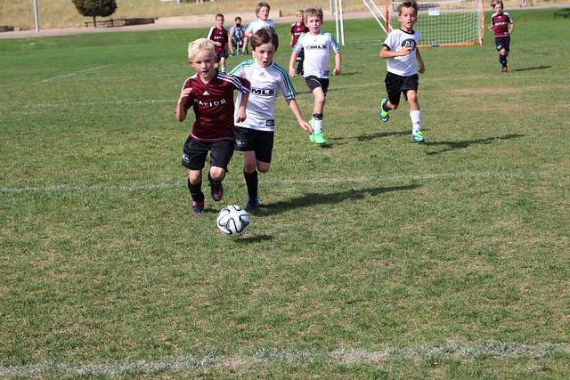 的体育锻炼 的体育锻炼