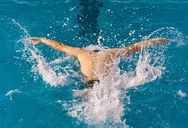 戴维斯的身 戴维斯的身