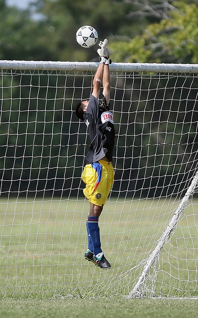 获得周最佳 获得周最佳