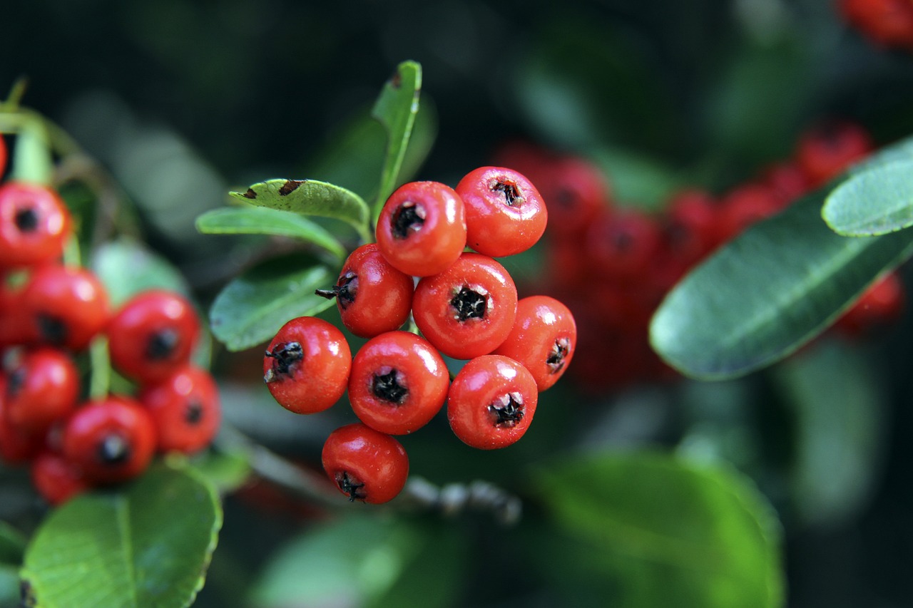 谓跌宕起伏 谓跌宕起伏