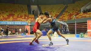 循环输送 循环输送