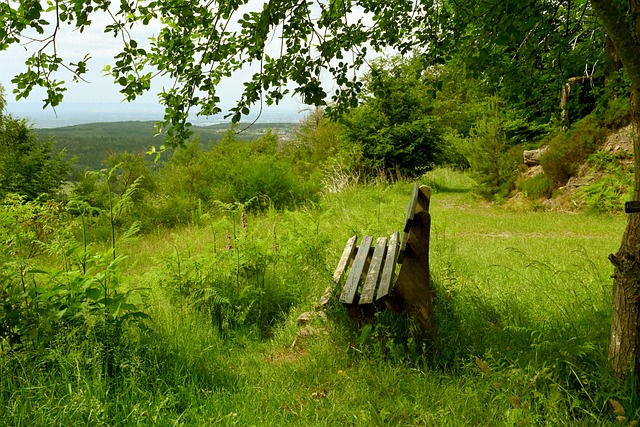 这种高效的 这种高效的
