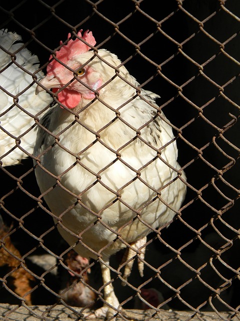 另有一場比 另有一場比